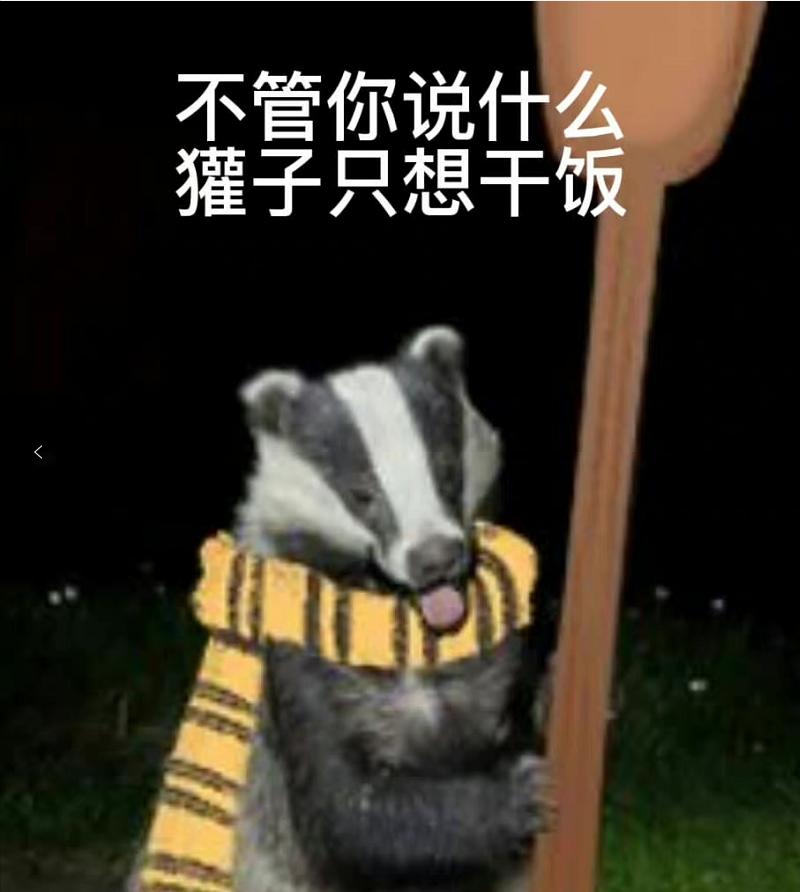 哈利波特手游中的四大学院,哈利波特游戏四大学院在干嘛