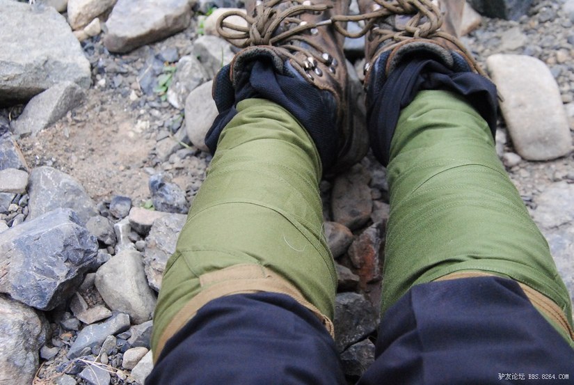 狼c调简谱教唱,狼c