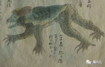 经典传奇湖底谜团水怪,尼斯湖水怪谜团