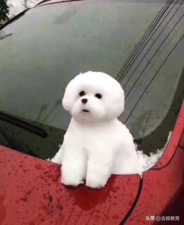 广大学生创业就业,学生外面赚钱