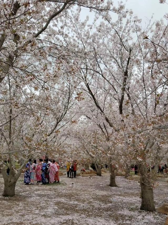 大连普兰店小众景点,大连免费的景点推荐