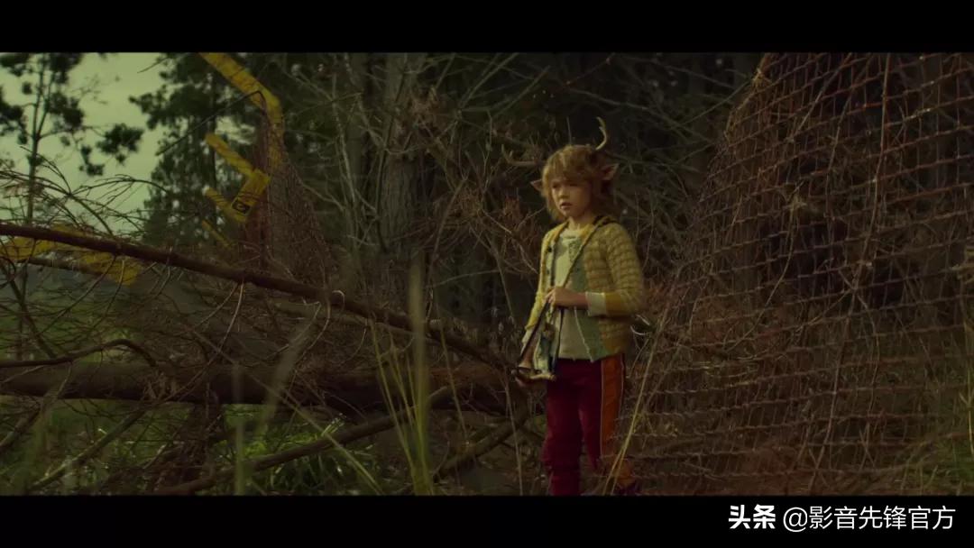 触及各种禁忌点的邪典之作被改编成了电影，一开播就大获好评