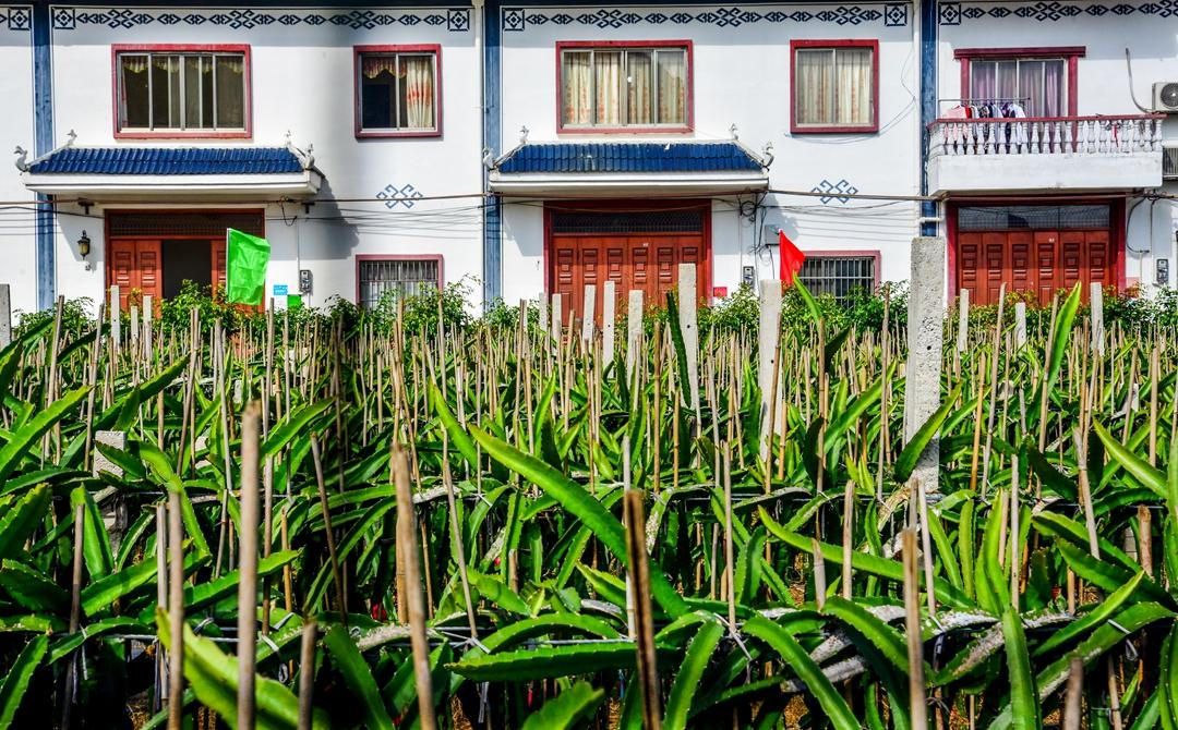 南宁有哪些有名的风景区,广西长寿之乡风景区