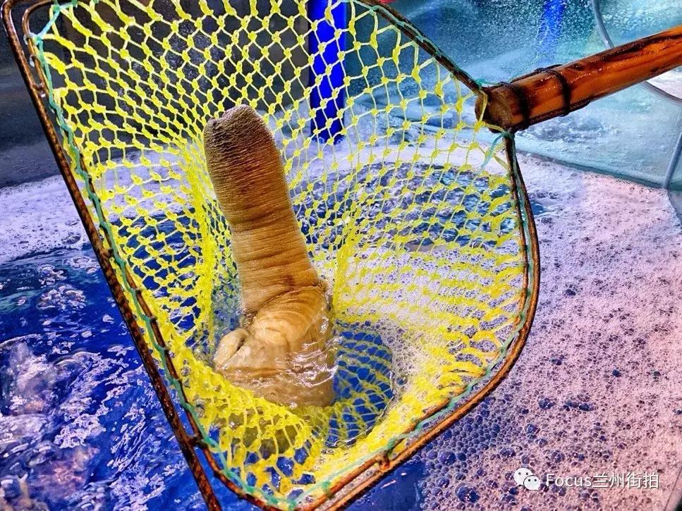 兰州好吃又实惠的海鲜,兰州值得推荐海鲜店