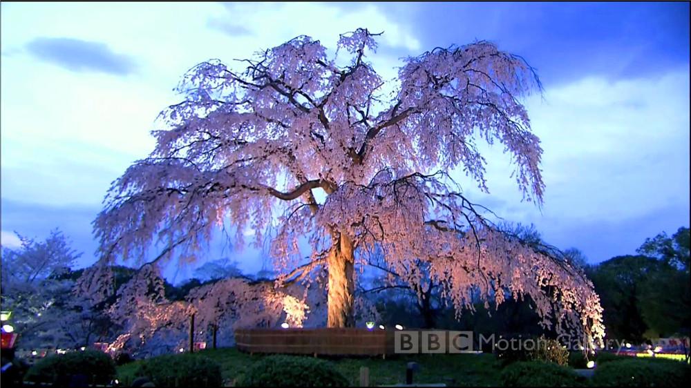 interbox机顶盒,interbox机顶盒怎么样