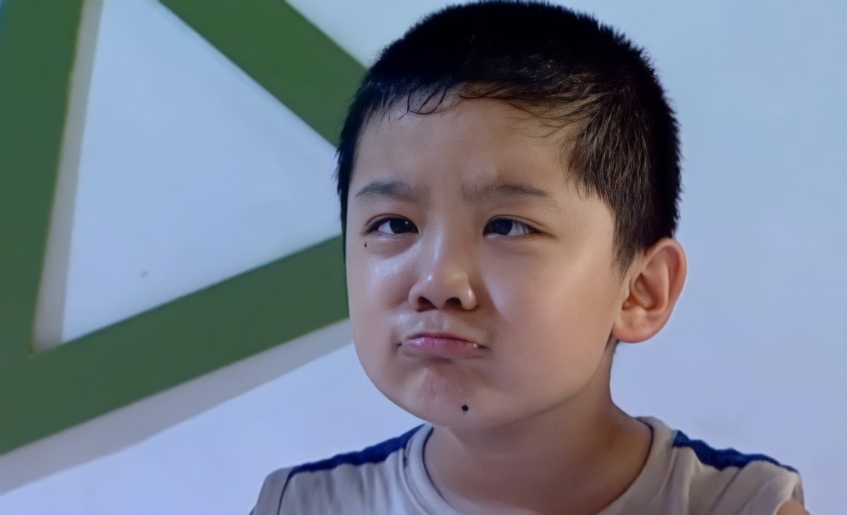 尤浩然小时候家有儿女采访,小童星尤浩然的个人资料图