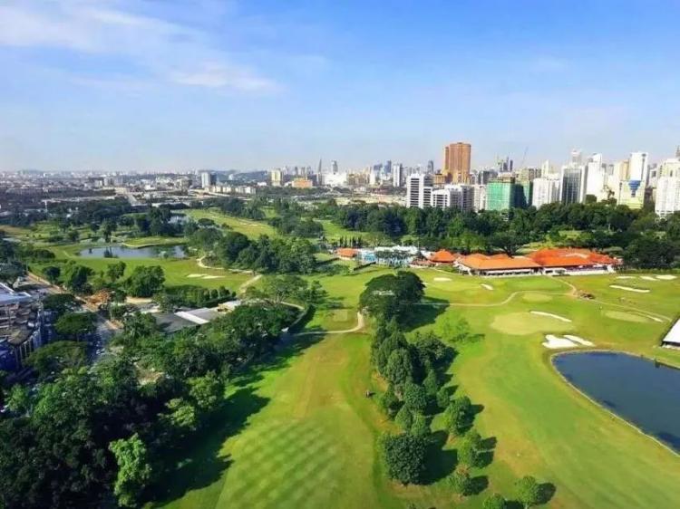 贝壳被偷后续,贝壳曾经的经历