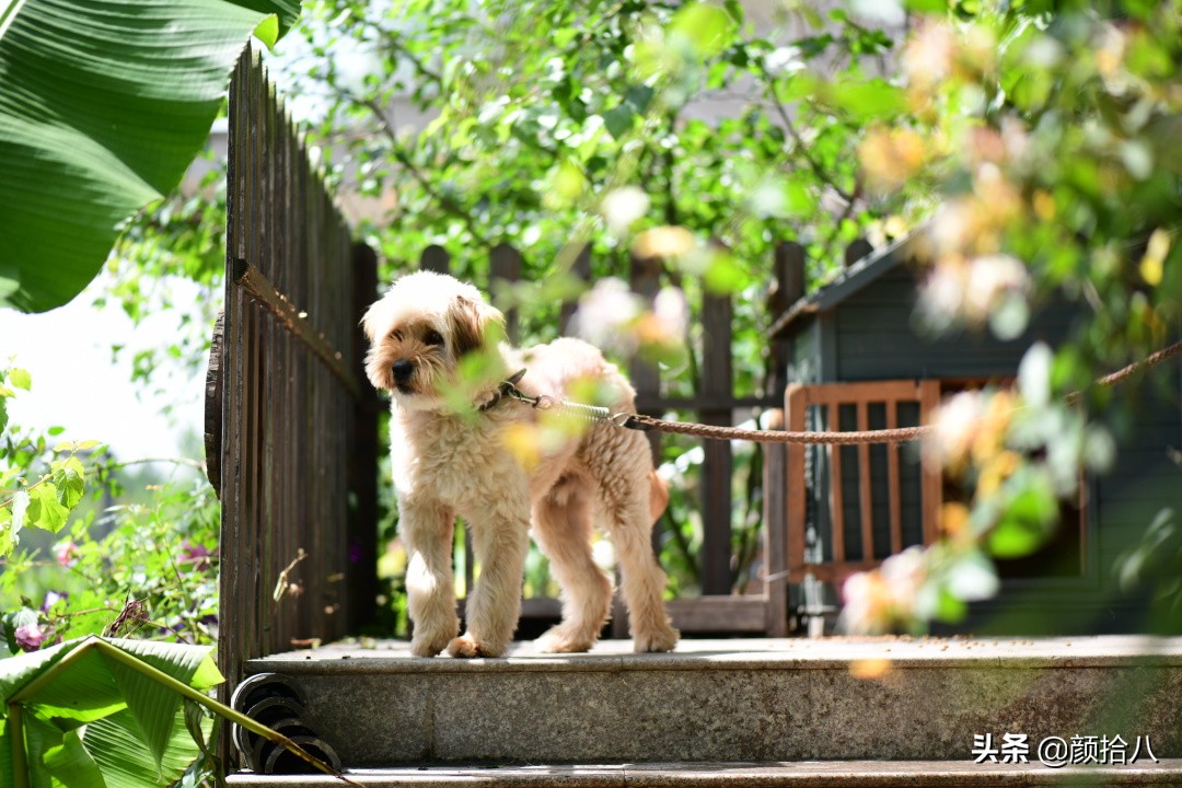 愿时光静止,愿时光静止在这一刻