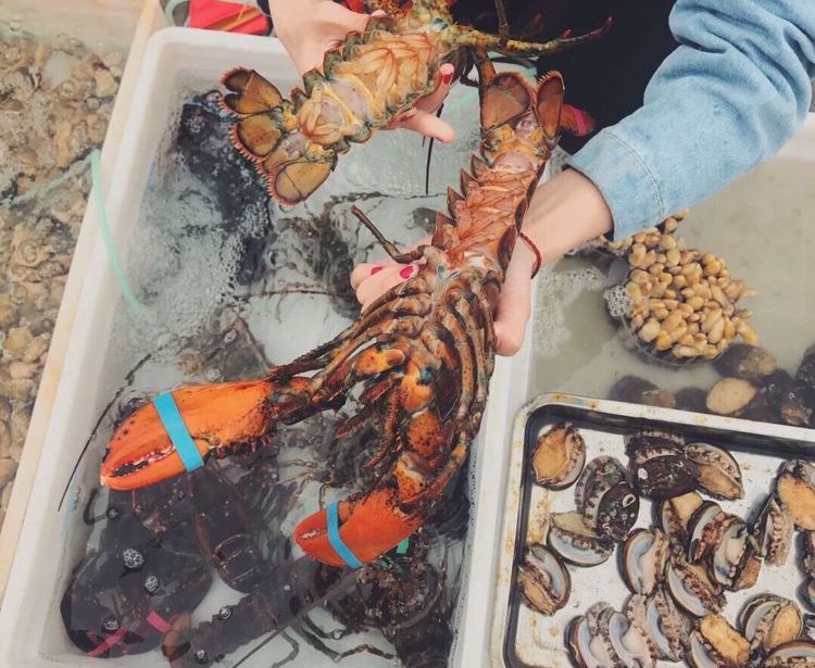 在三亚度假的日常生活,三亚度假旅游感受