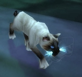 魔兽世界怀旧服服务器开放顺序,魔兽世界怀旧服新服务器攻略