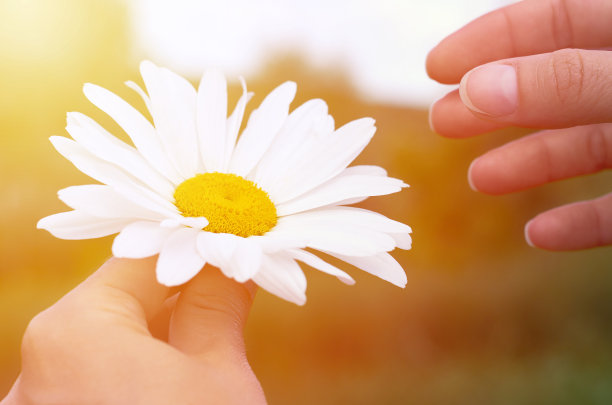 很想再见你一面但见到了又怎样,很想再见你哪怕匆匆一眼就别离