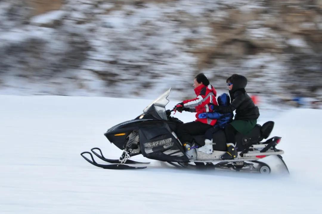 萌翻了原视频,萌翻了