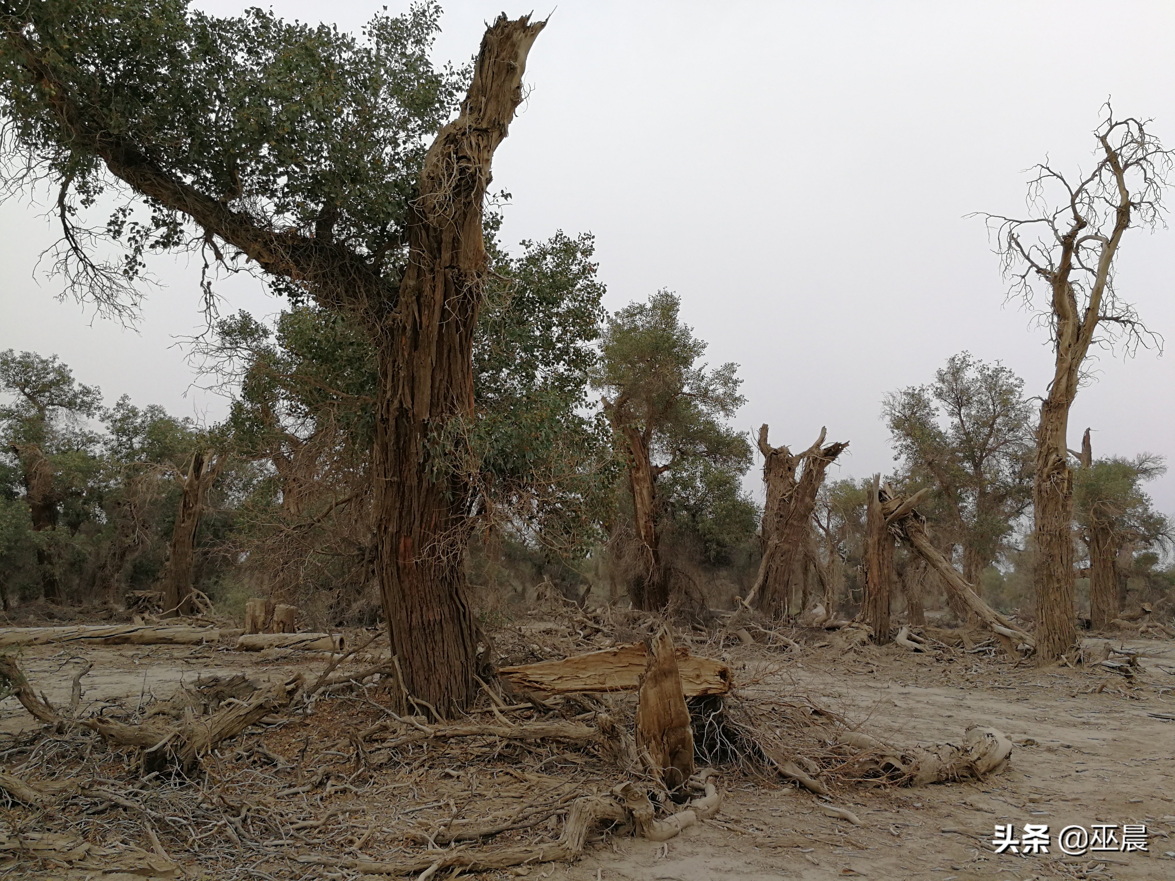 南疆北疆大环线15天旅行攻略,南北疆深度游北疆进入南疆