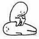 春节不加价的度假村,春节不加价的度假酒店