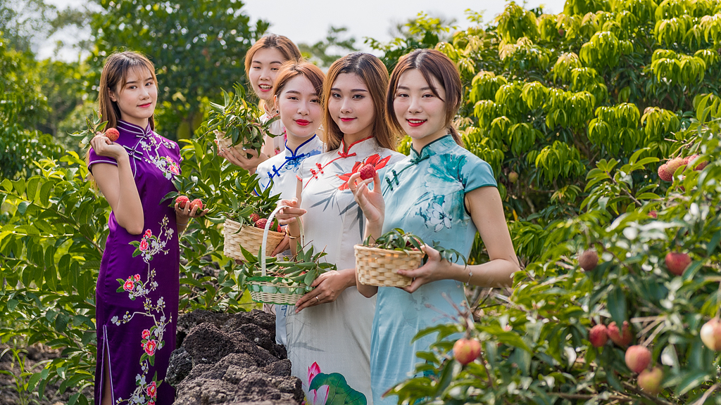 海口附近的荔枝采摘园有地过夜吗,海口周边采摘荔枝一日游最佳地点