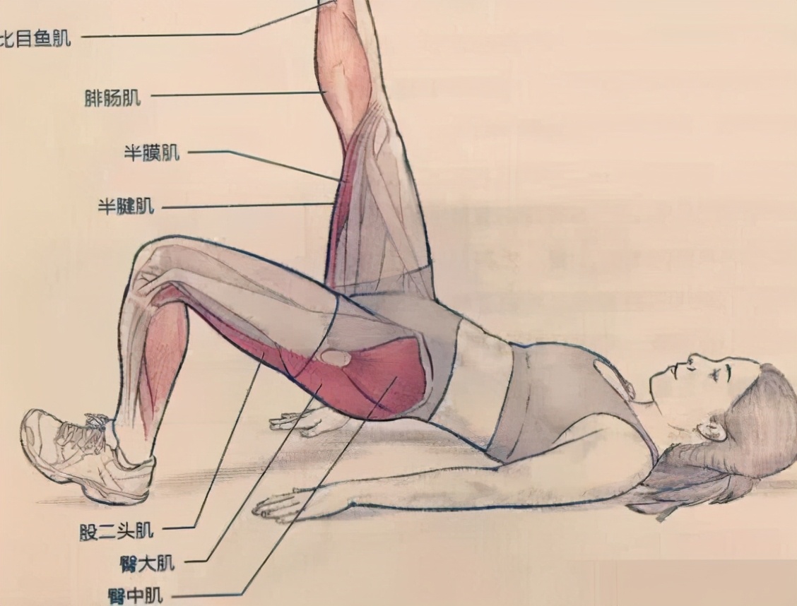 腿筋拉伤是一种什么病,拉伤腿筋怎么恢复最快