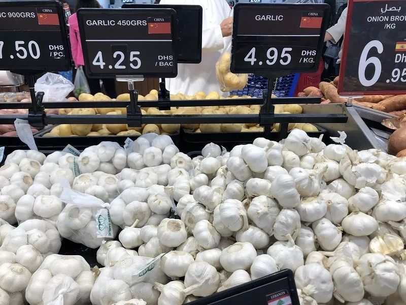 迪拜生活真实工资,在迪拜怎么降低生活成本