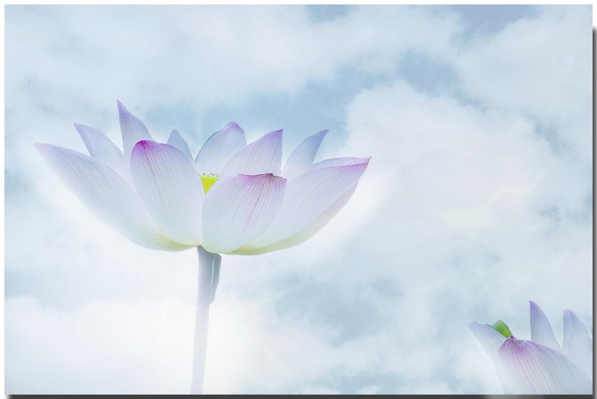 易经讲月盈则亏,易经8个赚钱定律