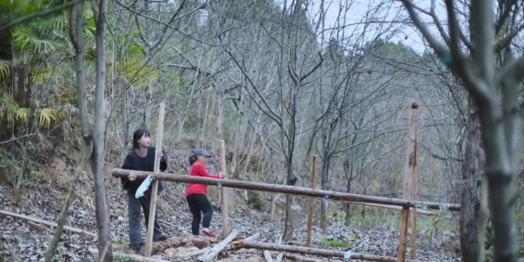 番茄锅酸甜番茄,超浓郁的番茄火锅吃一次就爱上了