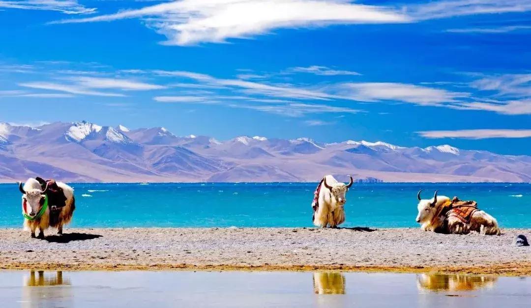 滇藏线西藏旅游攻略,西藏和西北旅游攻略路线