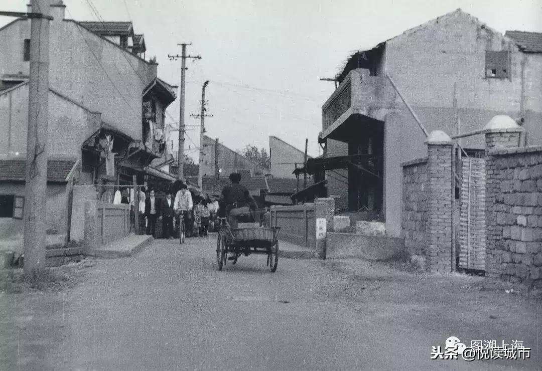 鎮﹁鍩庡競娴︿笢,鎮﹁鍩庡競