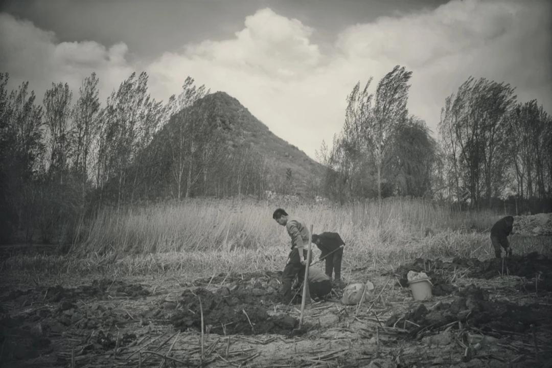 齐烟九点济南店,齐烟九点鹊华烟雨