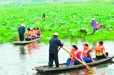 解码江夏乡村振兴,江夏青龙山乡村振兴