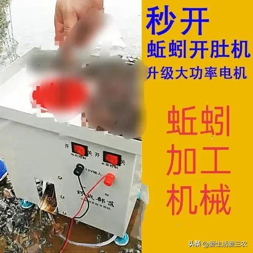 六个项目赚钱,六个最好做的生意