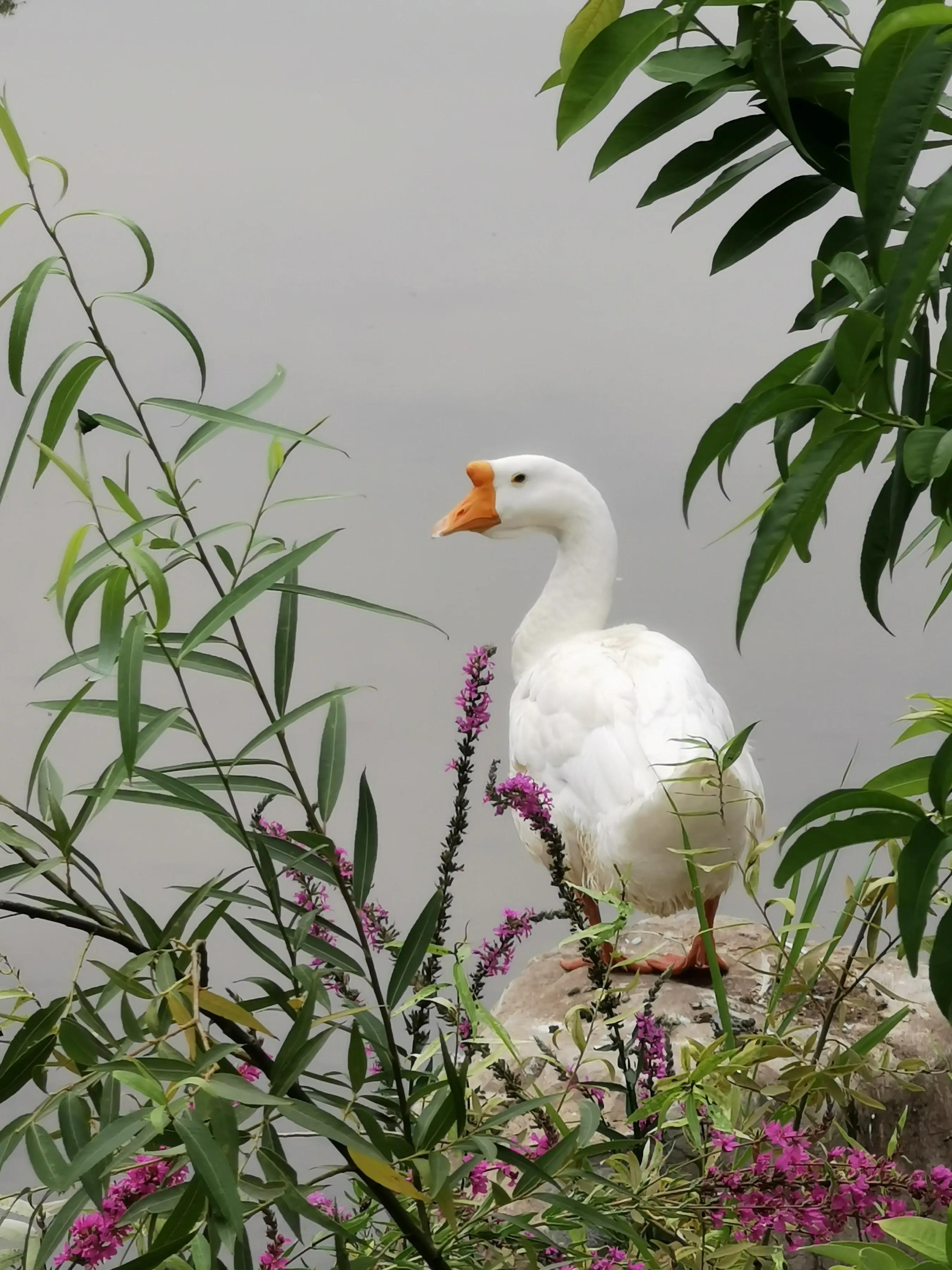 手拍世界手机摄影平台,手拍世界摄影交流平台