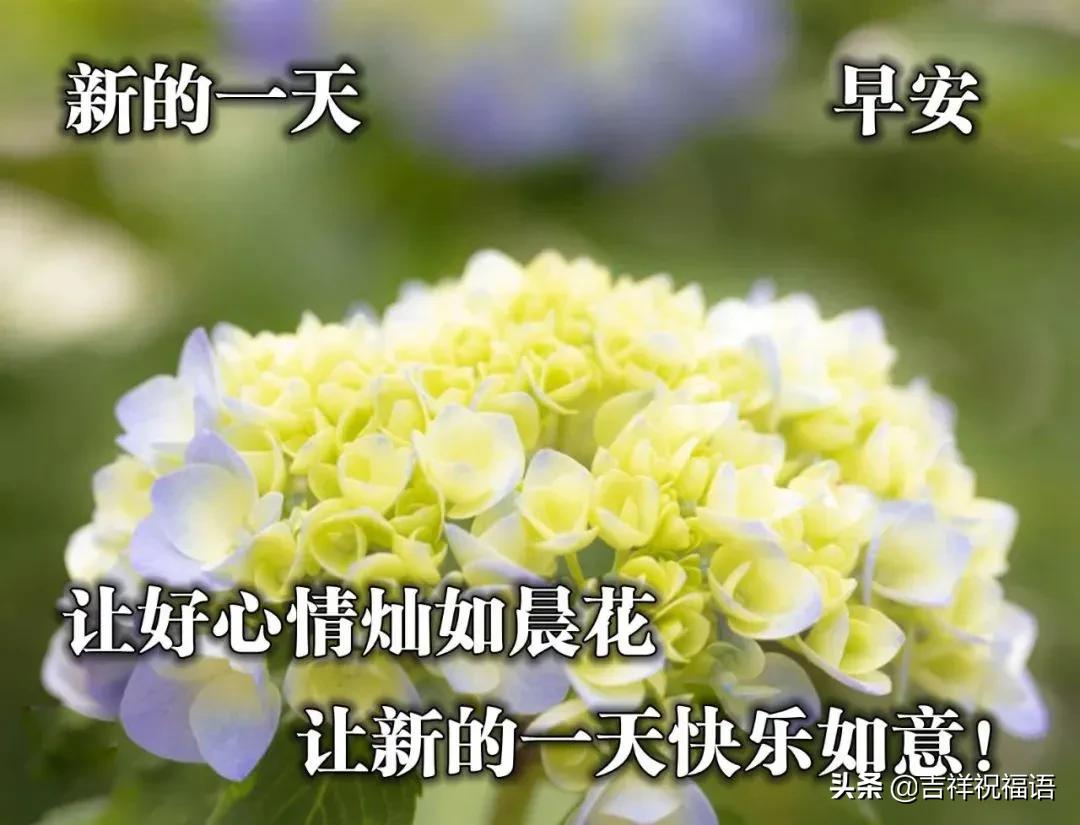 有一种感觉叫幸福歌曲,幸福就是一句简单问候从早上开始