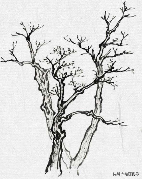 中国画零基础入门技巧,中国画传统画树技法