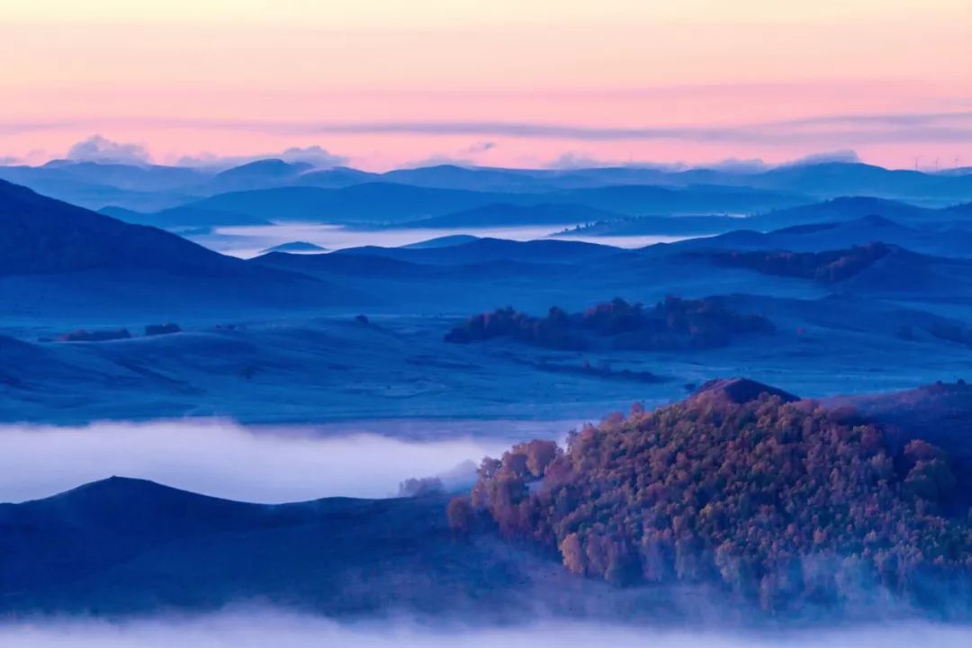 这是补气血最好的方法，不用去花冤枉钱