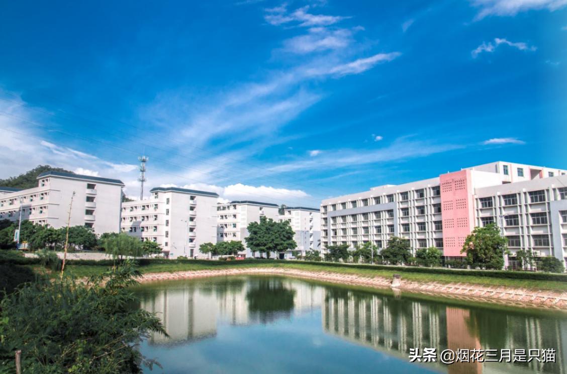 还在为选学校发愁吗,还在为选项目发愁吗