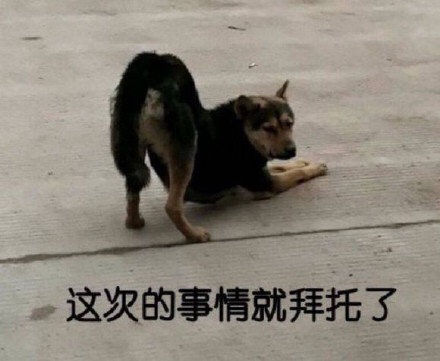 稳居c位的文案,稳居c位的沙雕文案