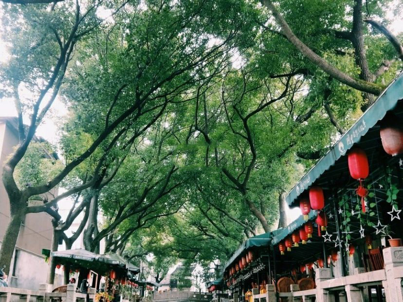 一个人穷游中国苏州同里古镇,同里古镇到苏州站怎么坐车