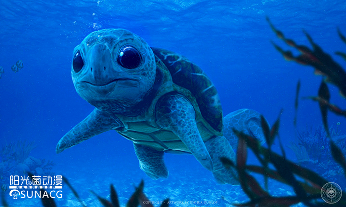 宠物小精灵哪个神奇宝贝最厉害,宠物小精灵里面稀有的神奇宝贝