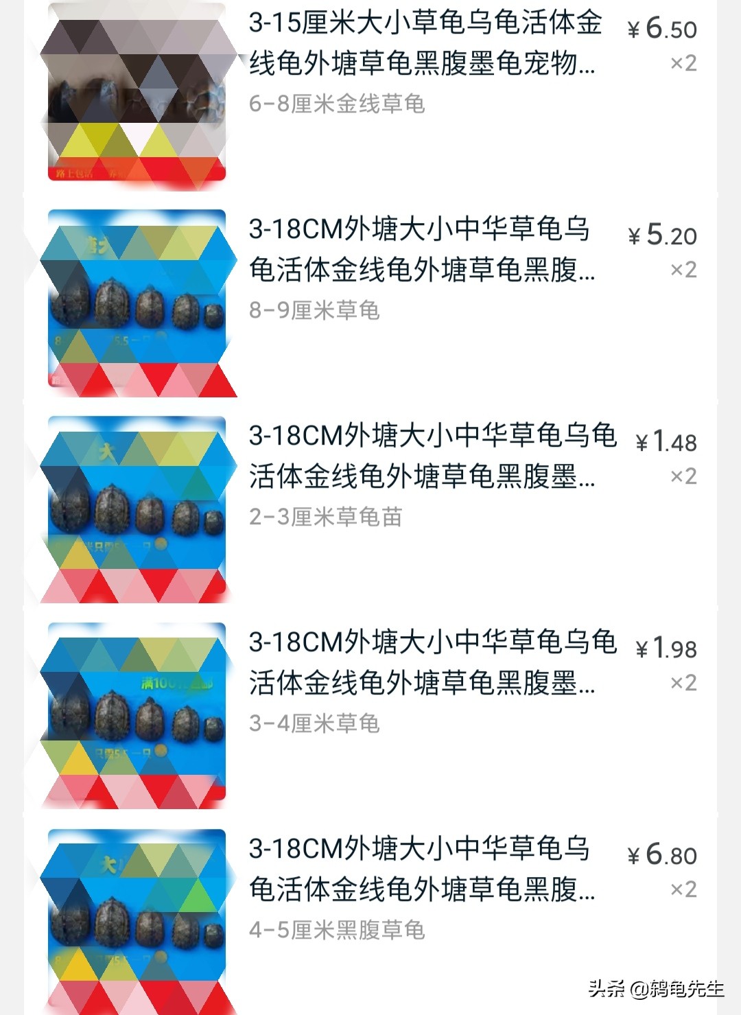 不易饲养的龟,为什么养殖场龟不易生病