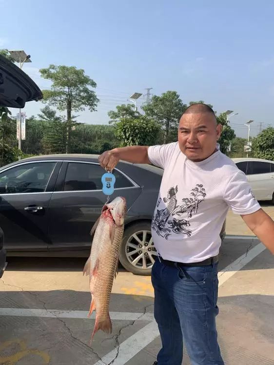 神鹤轻强硬评测,本汀神鹤轻强硬6.3米