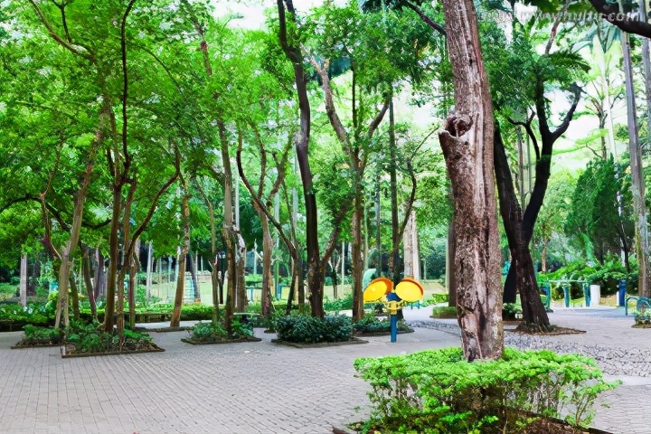 深圳罗湖跑步路线推荐,深圳中心公园跑步路线图