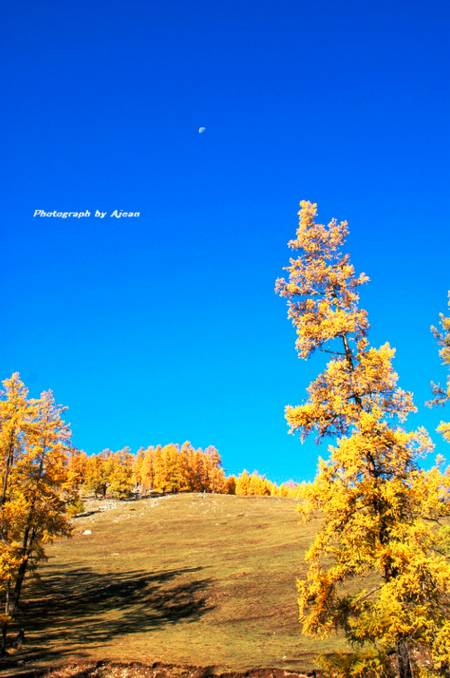 阿勒泰秋季旅行,新疆旅行阿勒泰秋天