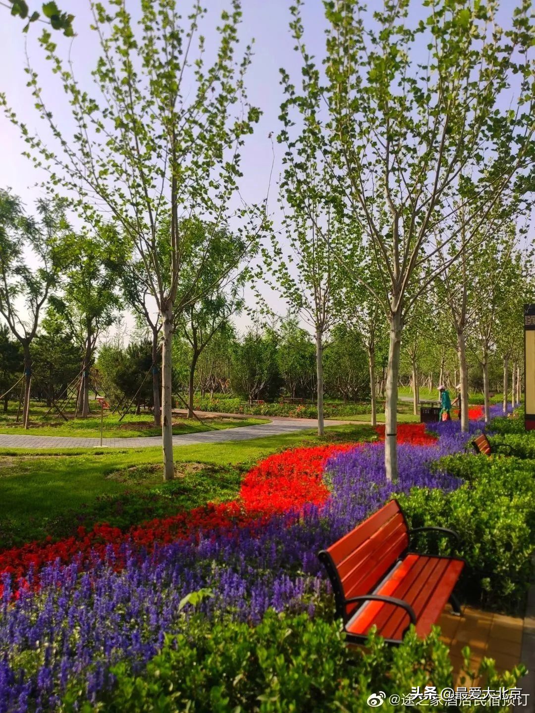 京城新增一“小江南”！免费人少