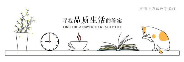 美女老板改装自述：从老旧房到精致办公室，这期间的经历我想说