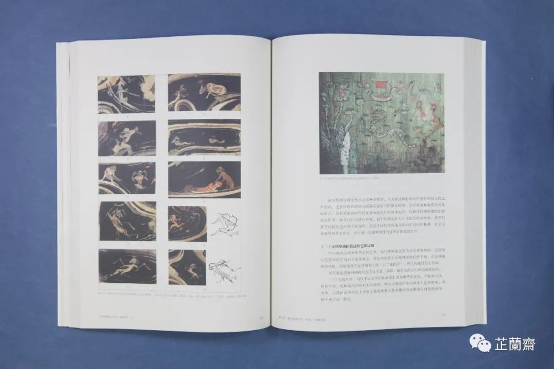 涔︾墿,涔︾墿瑙ｈ