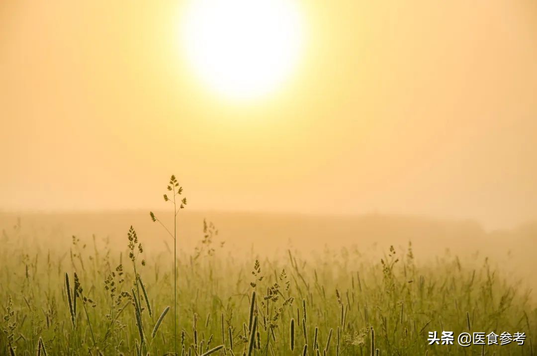 长夏祛湿按什么穴位,夏天吃什么养生健脾胃