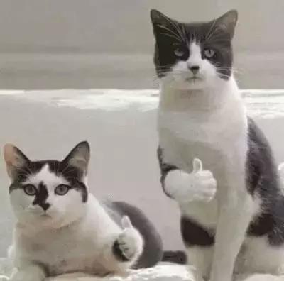 9岁女孩尿出“酱油”，只因体育课做了……记住这几点关键时能救命！