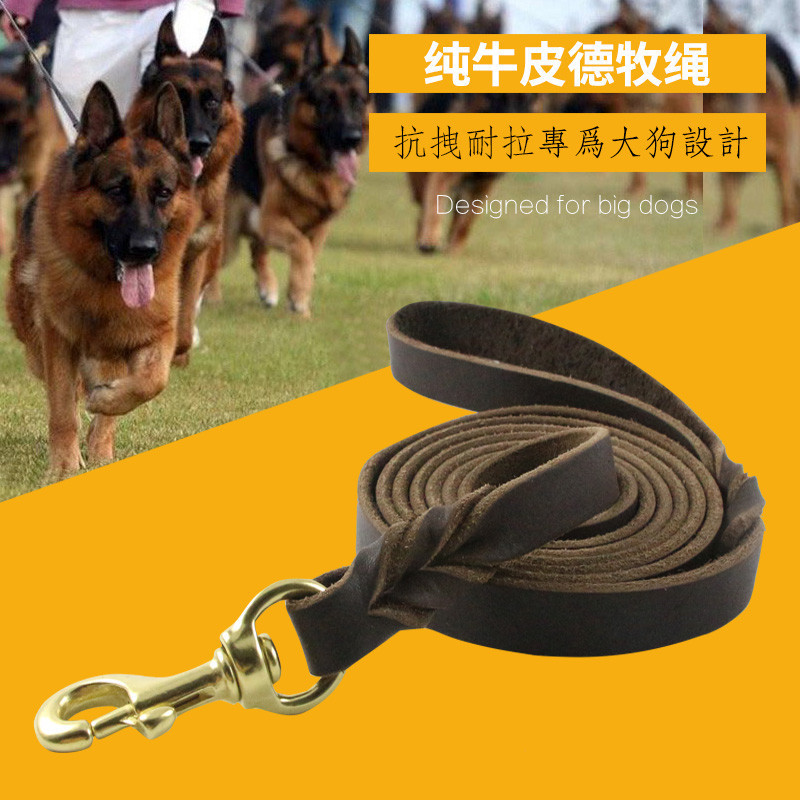 像德牧这样的大型犬,适合使用什么样的牵引绳?