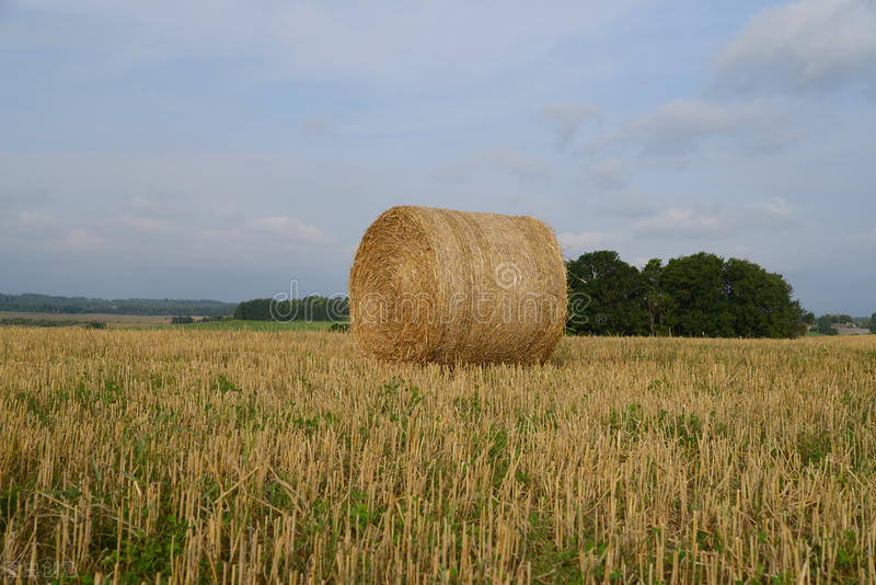 跟装修公司合作靠谱吗,跟装修公司打交道真的很难吗