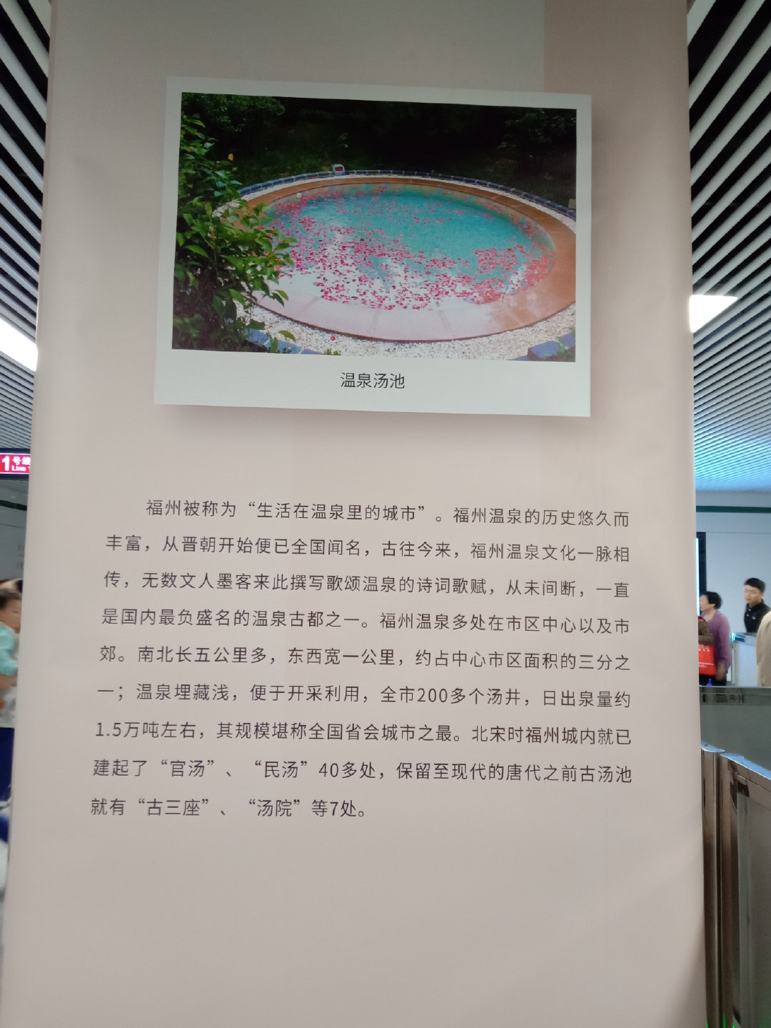 福州大学就像一座大公园，风景美到爆！最美的世界一流学科院校