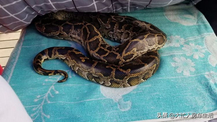 浙江千岛湖月光岛,千岛湖月光岛白天游玩攻略