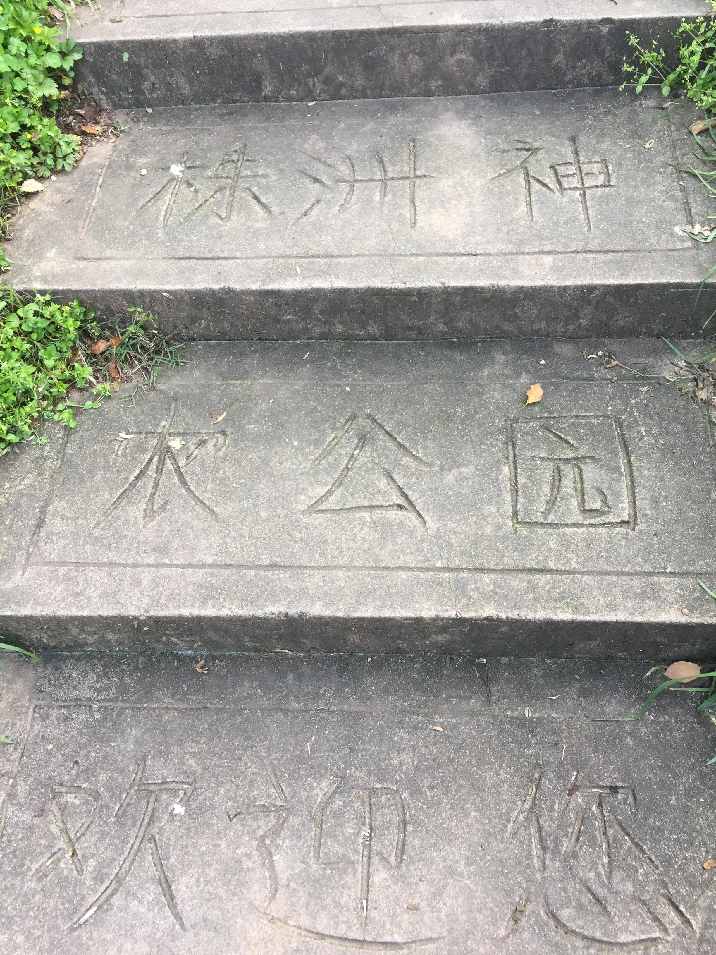 神农公园游览图怎么画简单,神农公园游乐场关门时间